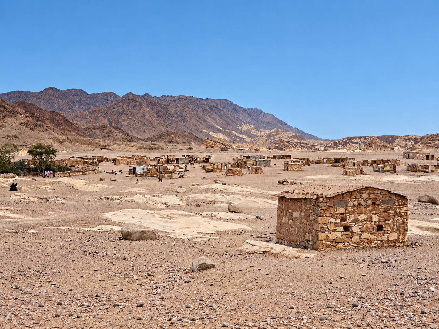 Tarabin Bedouin village in the Sinai desert, 1981
